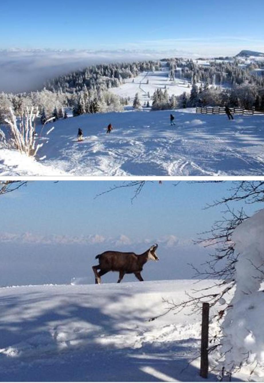 Le Chamois Mont D'Or Leilighet Métabief Eksteriør bilde